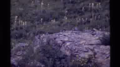 Holland Lake Montana USA (1972): Look At The Vegetation And The Contrasting Rock