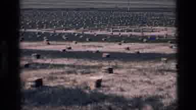 Idaho USA (1972): Bails Of Hay Dropped In The Field Read For Livestock To Eat Near