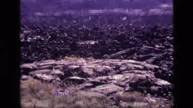 Idaho USA (1972): Fire Destroys Next Harvest Of Sugar Beets Arson Not Suspected