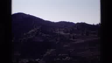 Idaho USA (1972): On The Mountain Trees Are Standing Tall And Staying So Strong