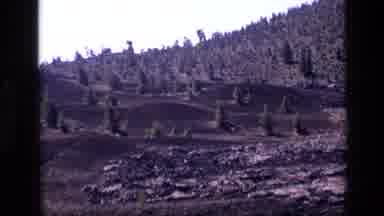 Idaho USA (1972): Camera Zooms In On Trees And Then A Lot Of Rocks