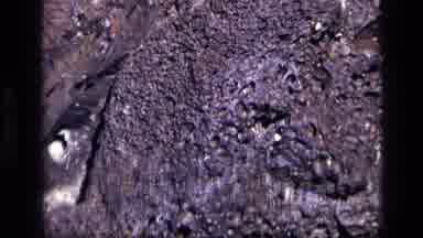 Idaho USA (1972): Cool Close Up Detail Of A Gray And White Rock Surface
