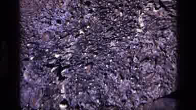 Idaho USA (1972): Exploring A Dark Dried Out Coral Formation Out Of The Water