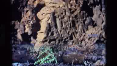 Idaho USA (1972): Showing That Vegetation Can Grow In Lava Rocks And Thrive