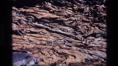 Idaho USA (1972): Zooming Out From The Surface Of A Rock