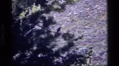 Idaho USA (1972): Mountain Rage Visible From Hiking Trail