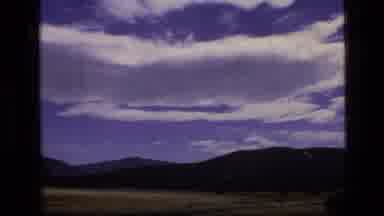 SCAPEGOAT WILDERNESS MONTANA USA .MP-1973: Several Donkeys Stand In Front Of An