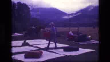 SCAPEGOAT WILDERNESS MONTANA USA .MP-1973: Cowboy In A Mountainous Area Packing