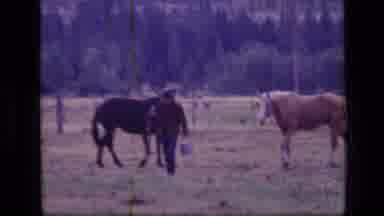 SCAPEGOAT WILDERNESS MONTANA USA .MP-1973: Taking Care Of The Ranch