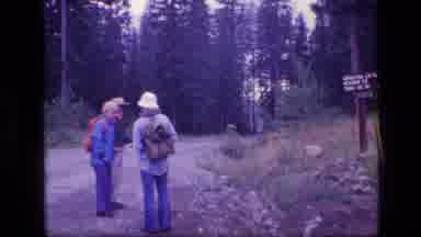 SCAPEGOAT WILDERNESS MONTANA USA .MP-1973: A Group Of Hikers Camping Jumping