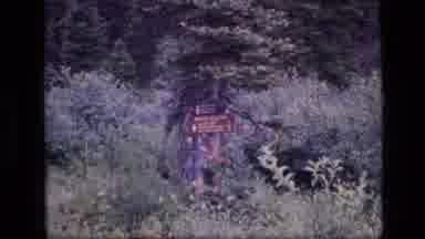 SCAPEGOAT WILDERNESS MONTANA USA .MP-1973: Old Lady Walks Ahead Of Old Man