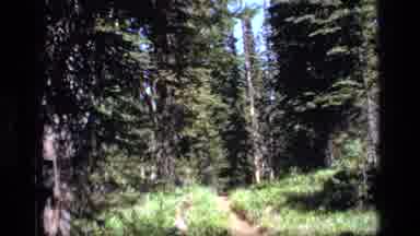 SCAPEGOAT WILDERNESS MONTANA USA .MP-1973: Hikers Roaming A Wilderness Trail