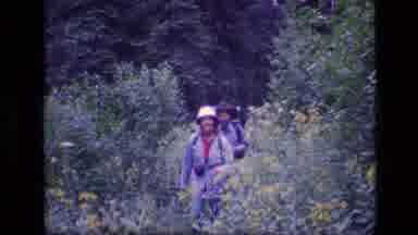 SCAPEGOAT WILDERNESS MONTANA USA .MP-1973: Hiker Crossing A Stream While Holding