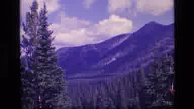 SCAPEGOAT WILDERNESS MONTANA USA .MP-1973: Tree Tops With A Large White Snow