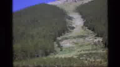 SCAPEGOAT WILDERNESS MONTANA USA .MP-1973: A View Of A Castaway Forest Mess