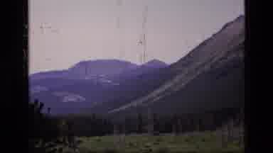 SCAPEGOAT WILDERNESS MONTANA USA .MP-1973: Relaxed Mountain Wearing A Mossy