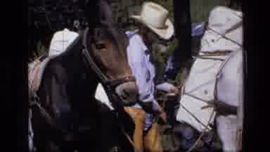 SCAPEGOAT WILDERNESS MONTANA USA .MP-1973: Cowboy Ties Up His Pack And Puts On