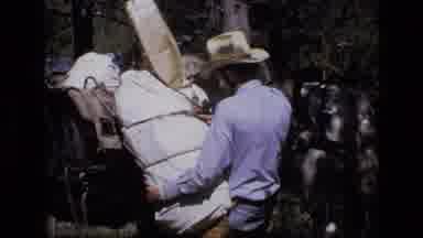SCAPEGOAT WILDERNESS MONTANA USA .MP-1973: Man Loading Up Black Horse With A