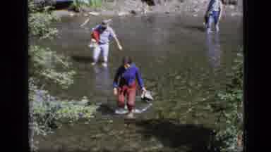 SCAPEGOAT WILDERNESS MONTANA USA .MP-1973: People Walking In Fresh Spring Water