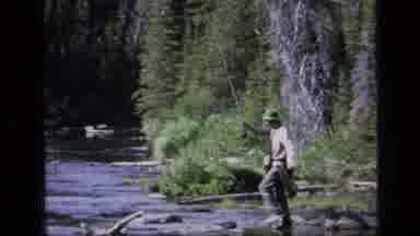 SCAPEGOAT WILDERNESS MONTANA USA .MP-1973: Camping Out In The Wild With One