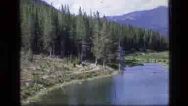 SCAPEGOAT WILDERNESS MONTANA USA .MP-1973: The Tranquility Of The Forest Eludes