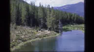 SCAPEGOAT WILDERNESS MONTANA USA .MP-1973: Serene River Next To Road In A Forest