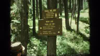 SCAPEGOAT WILDERNESS MONTANA USA .MP-1973: Trail Marker For Main Line Trail