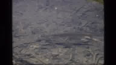 SCAPEGOAT WILDERNESS MONTANA USA .MP-1973: Little Fish Swimming Through Clear