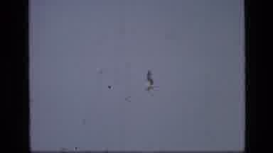 SCAPEGOAT WILDERNESS MONTANA USA .MP-1973: White Bird Flying Very High In The