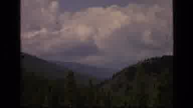 SCAPEGOAT WILDERNESS MONTANA USA .MP-1973: Panning View Of A Forested Mountain