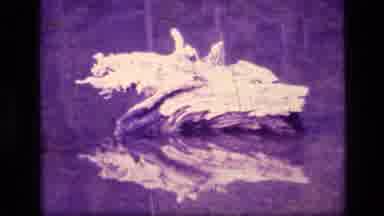 SCAPEGOAT WILDERNESS MONTANA USA .MP-1973: Three Shots Of Nature Including