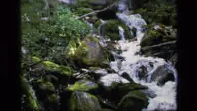 SCAPEGOAT WILDERNESS MONTANA USA .MP-1973: A Creek Cascading Down A Hillside