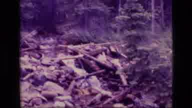 SCAPEGOAT WILDERNESS MONTANA USA .MP-1973: Water Cascading Down A Hillside In A