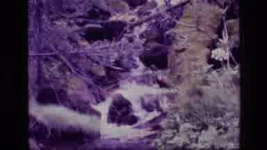 SCAPEGOAT WILDERNESS MONTANA USA .MP-1973: River Flowing Between Rocks