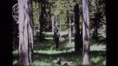 SCAPEGOAT WILDERNESS MONTANA USA .MP-1973: People Walking Through The Mountains
