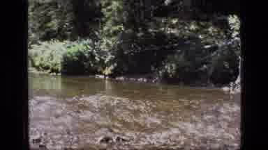 SCAPEGOAT WILDERNESS MONTANA USA .MP-1973: Cameraman Documents Group Hiking Through Forest Stream