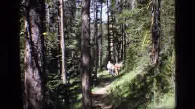 SCAPEGOAT WILDERNESS MONTANA USA .MP-1973: Man And Several Small Children Take A