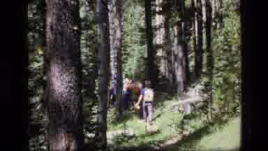 SCAPEGOAT WILDERNESS MONTANA USA .MP-1973: Hiking Through The Woods