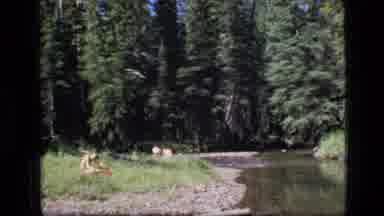 SCAPEGOAT WILDERNESS MONTANA USA .MP-1973: Boy Sitting On The Shore Of A Slow