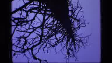 SCAPEGOAT WILDERNESS MONTANA USA .MP-1973: This Is Unspoken Free Nature A Video