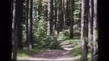 SCAPEGOAT WILDERNESS MONTANA USA .MP-1973: Man Casually Strolls Through The
