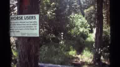 Agate Springs Montana USA (1975): A Stream Flowing Through Rocks In A Dense Forest