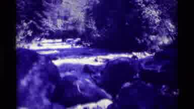 Agate Springs Montana USA (1975): Rocky Waters Surrounded By Trees