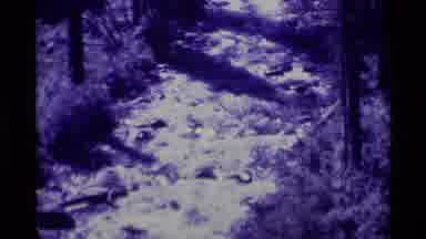 Agate Springs Montana USA (1975): Camera Zooming Out Of A Random Trail With A Blue
