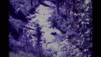 Agate Springs Montana USA (1975): Rocky Mountainside And The Stream That Runs