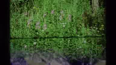 Agate Springs Montana USA (1975): Cowboys And Horses Surrounded By Earth's Natural