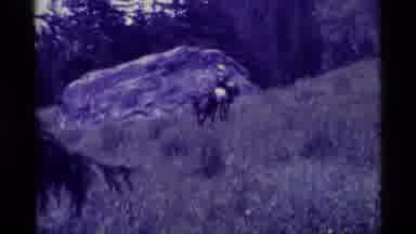 Agate Springs Montana USA (1975): Man With Two Horses On Hillside Green Paper