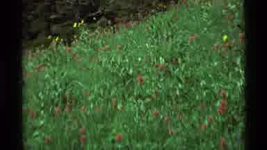 Agate Springs Montana USA (1975): A Mysterious Attack That Occurs In The