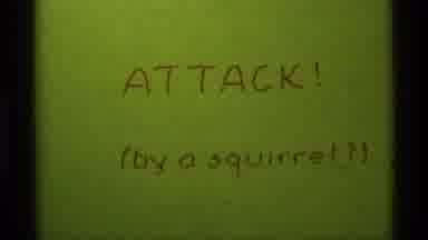 Agate Springs Montana USA (1975): Squirrel Perched On Rock In Standoff With Camera