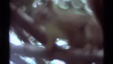 Agate Springs Montana USA (1975): Two Views Of Nature A Squirrel Moving Around And